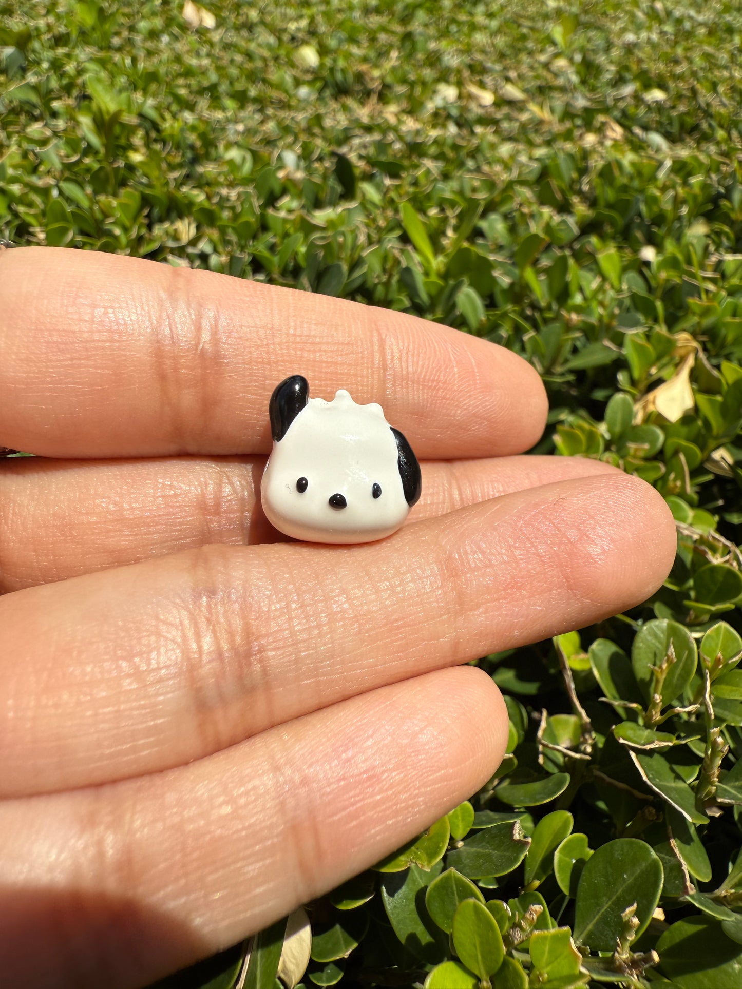 Charm Pochacco