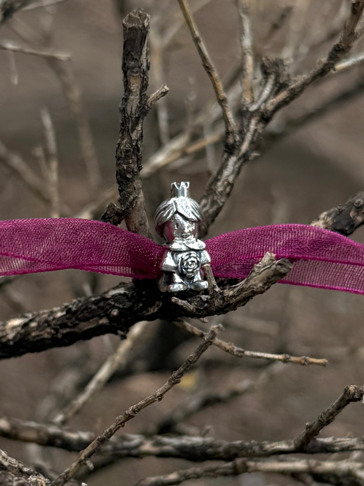 Charm Principito