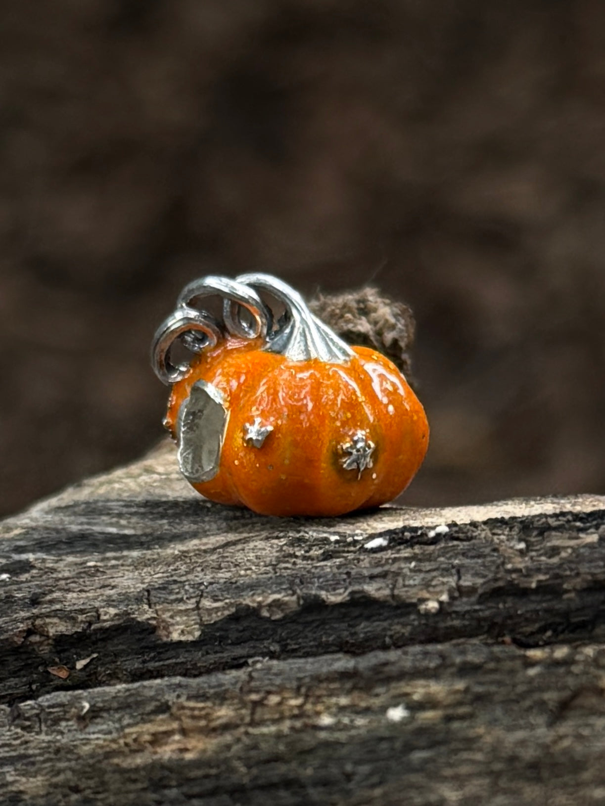 Calabaza Naranja con hojas