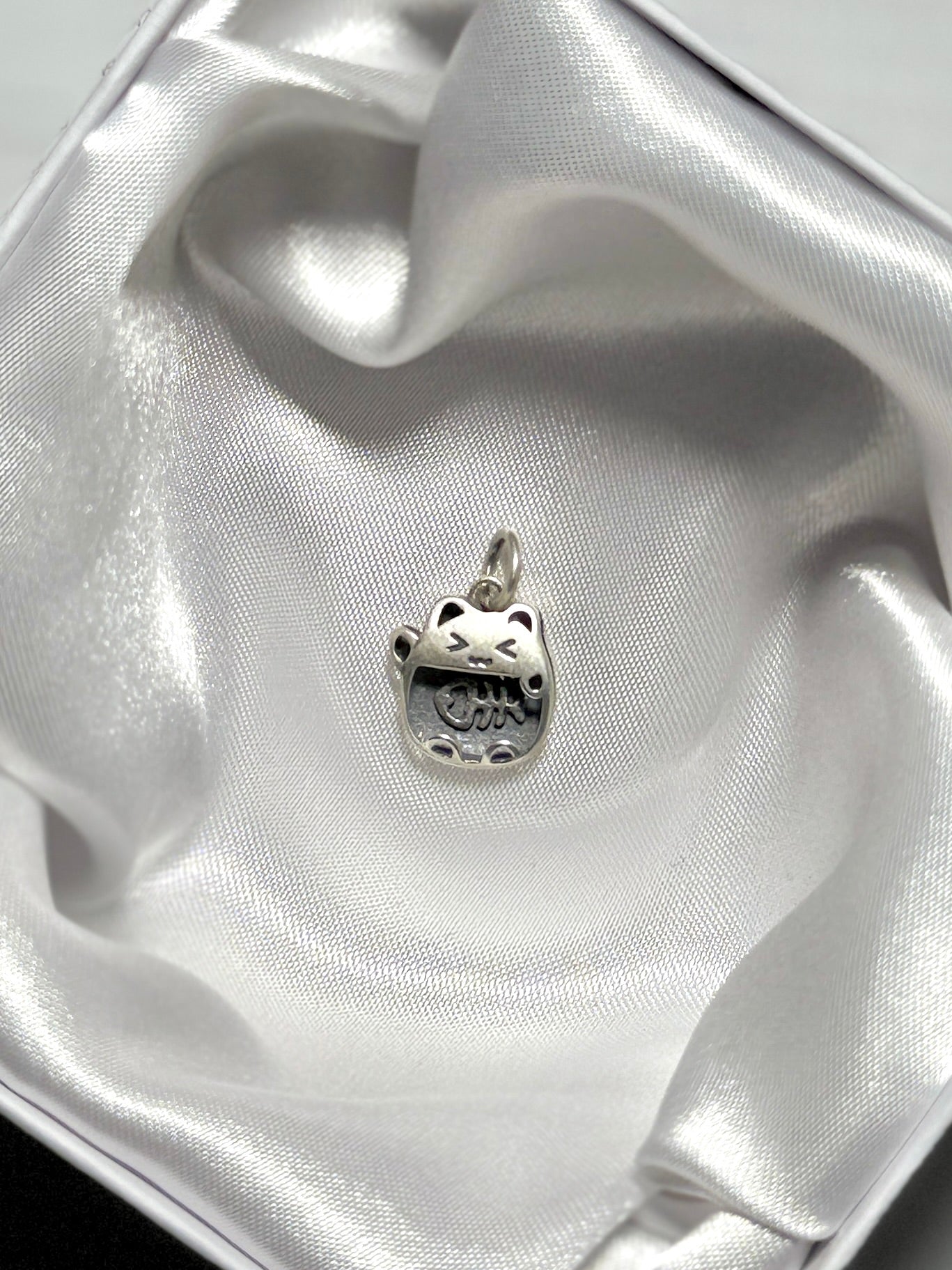 Charm Gato con huesito de Pez